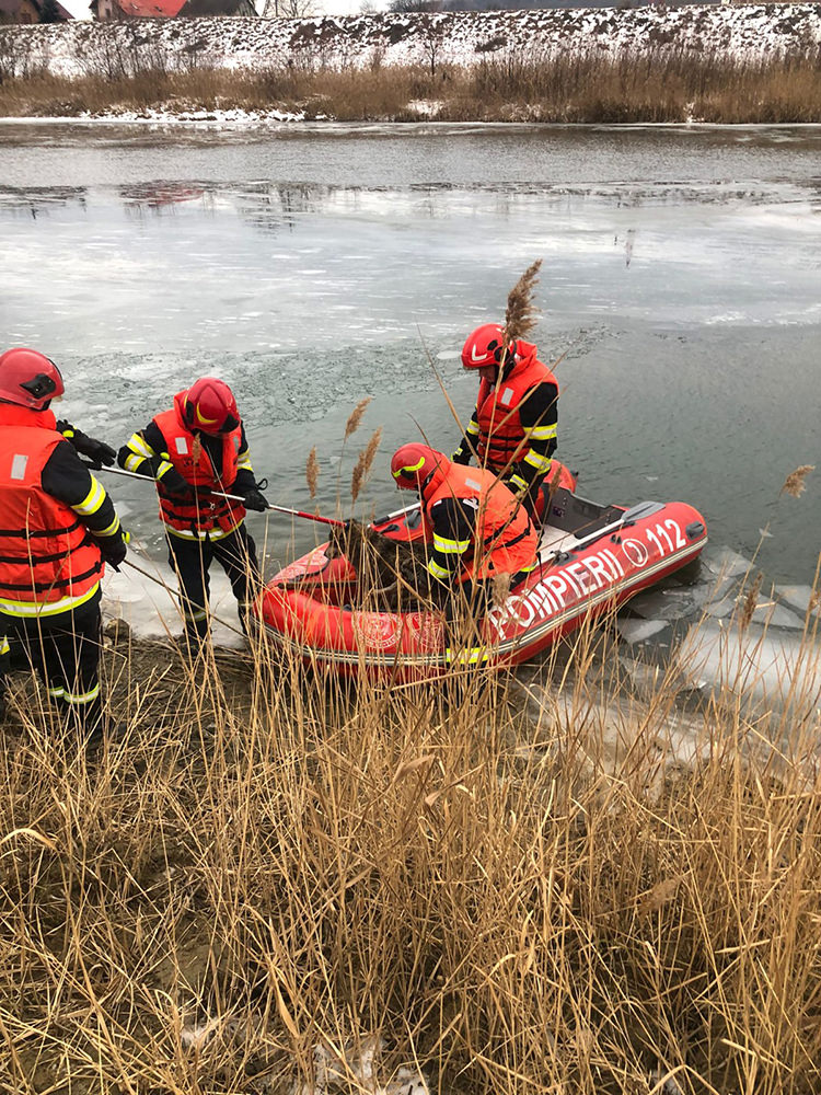 Pompierii militari suceveni au salvat un câine din apa înghețată a râului Suceava