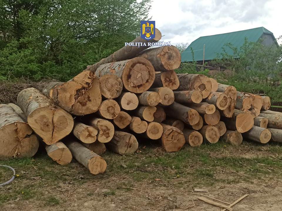 Ansamblu auto în valoare de 60.000 euro confiscat de polițiștii din Sucevița pentru transport ilegal de material lemnos