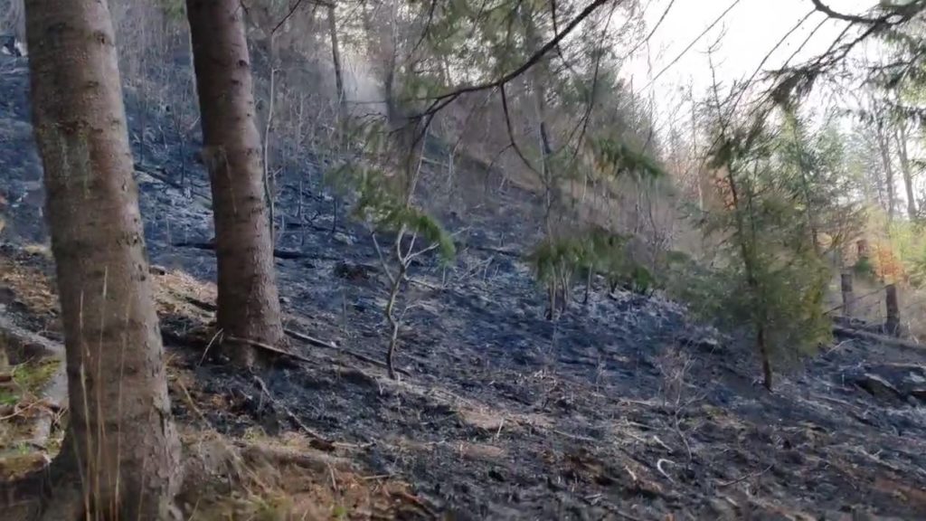 Stop incendiilor de vegetație uscată!