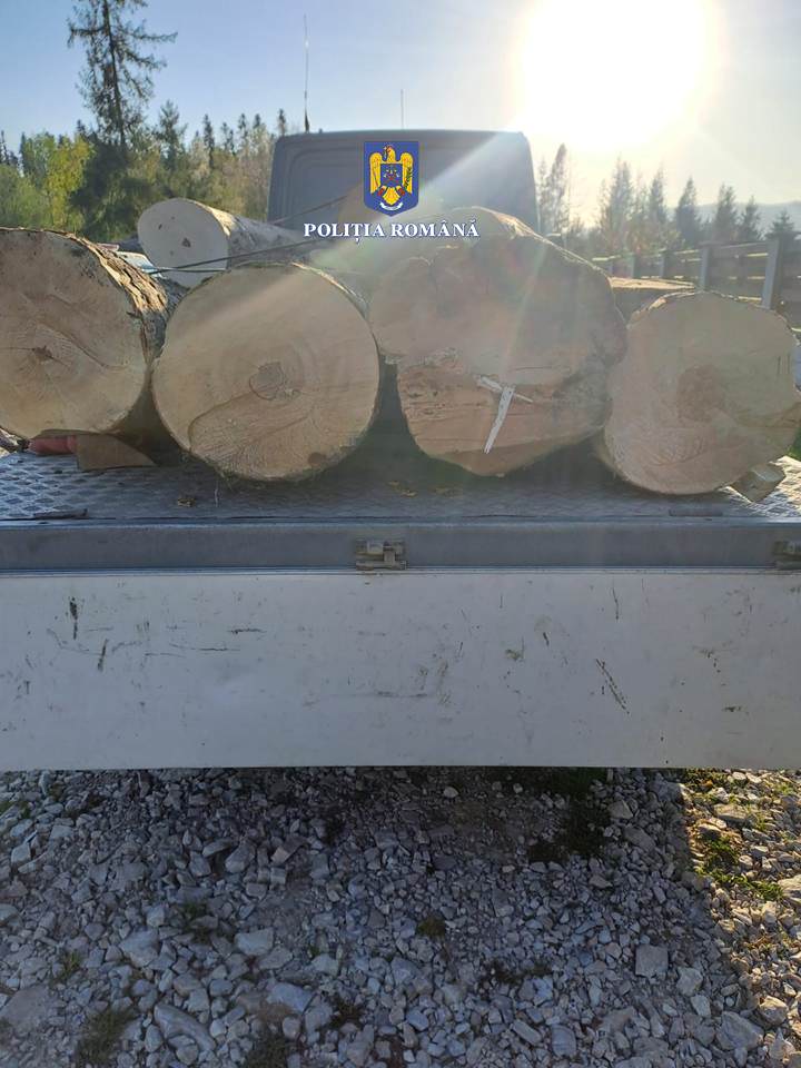 Un nou transport de lemn de esență rară în valoare de circa cinci mii de euro lei utilizat de meșterii lutieri pentru confecționarea instrumentelor muzicale confiscat de polițiștii din Marginea