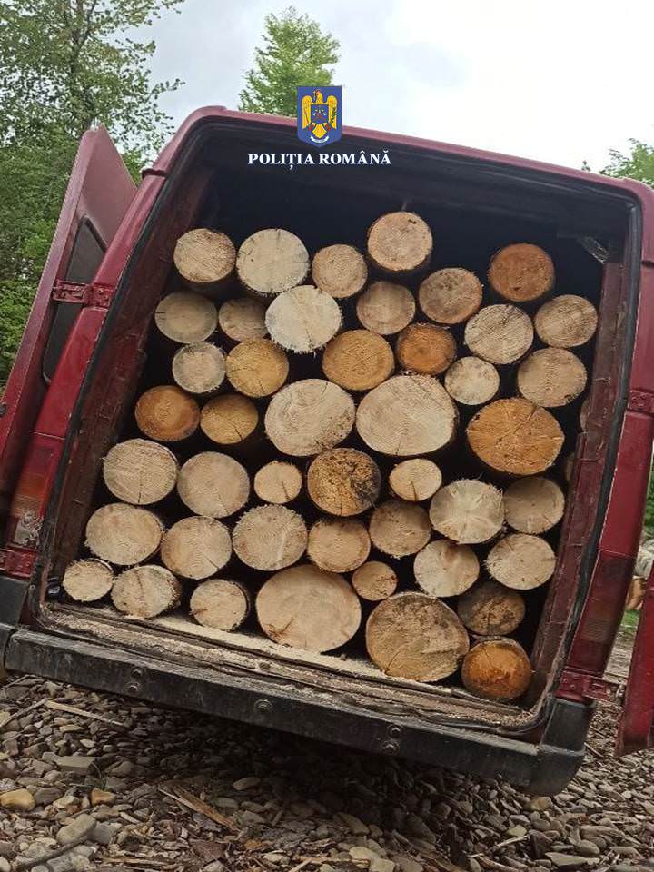 Cherestea, bușteni și lemn de foc în valoare de peste 15.000 lei confiscate de către polițiști