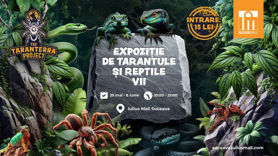 Expoziție de tarantule și reptile vii