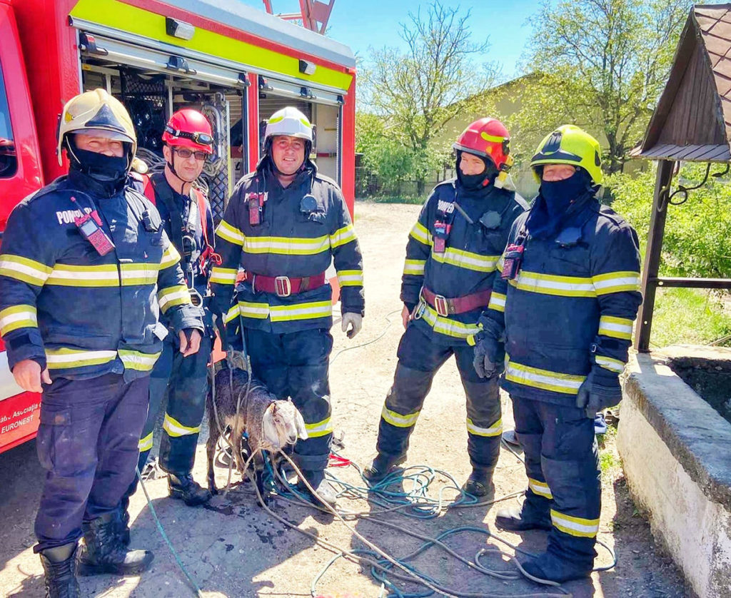 Pompierii suceveni au salvat un ied căzut într-o fântână din localitatea Spătărești