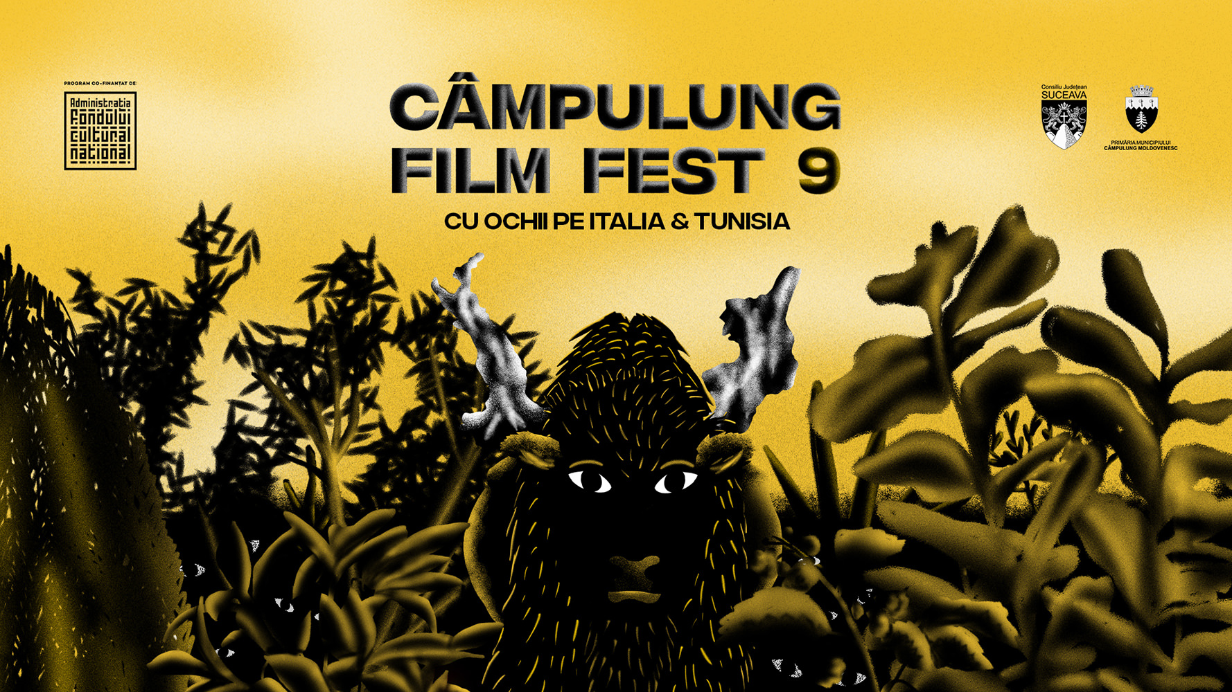 Câmpulung Film Fest 9