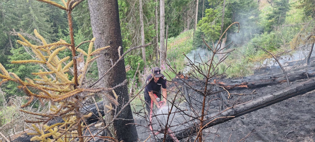 Incendiu în fondul forestier din localitatea Dârmoxa