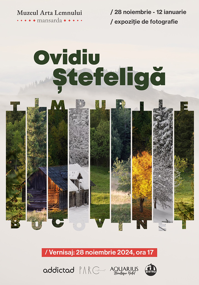 Ovidiu Ștefeligă - Timpurile Bucovinei