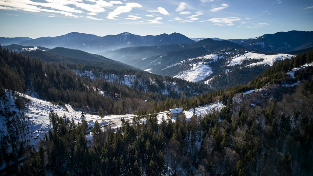 Pasul Tarnița (Puzdra)