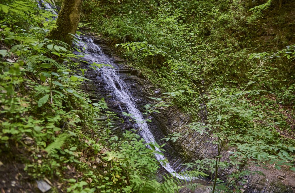 Cascada Bursuc (Putna)