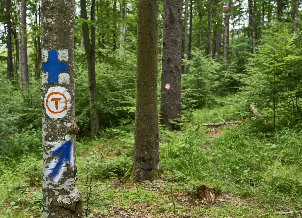 Via Transilvanica #4