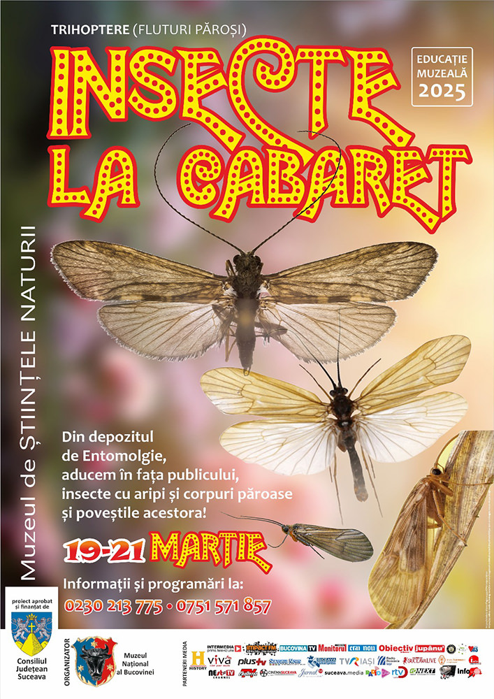 Muzeul de Științele Naturii din Suceava organizează o nouă temă de educație muzeală: "Insecte la cabaret - Trihoptere"