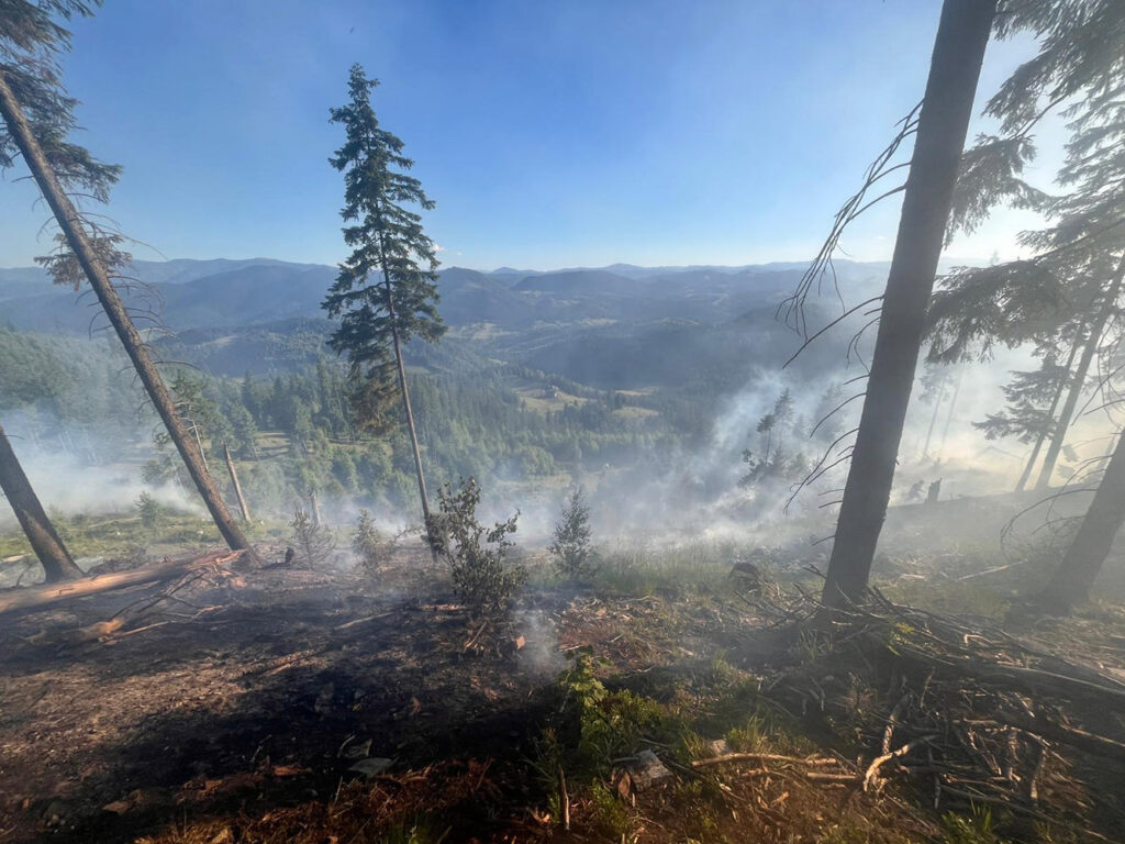 Un incendiu de pădure care a afectat 2,5 hectare în comuna Sadova a necesitat o mobilizare de peste 40 de pompieri, silvicultori și voluntari pentru a fi stins