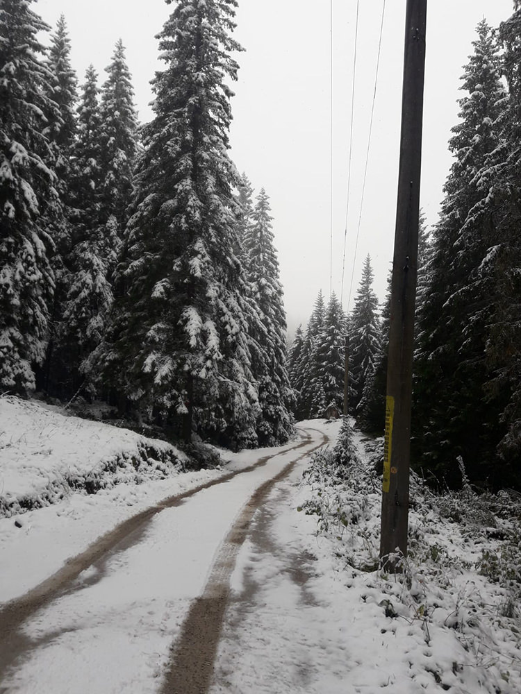 A nins la munte, iar pe Transrarău se circulă doar cu anvelope de iarnă