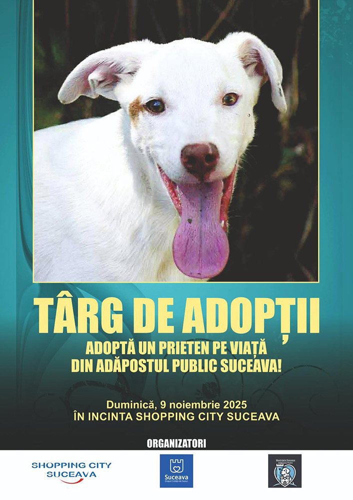Târg de adopții pentru cățeii fără stăpân