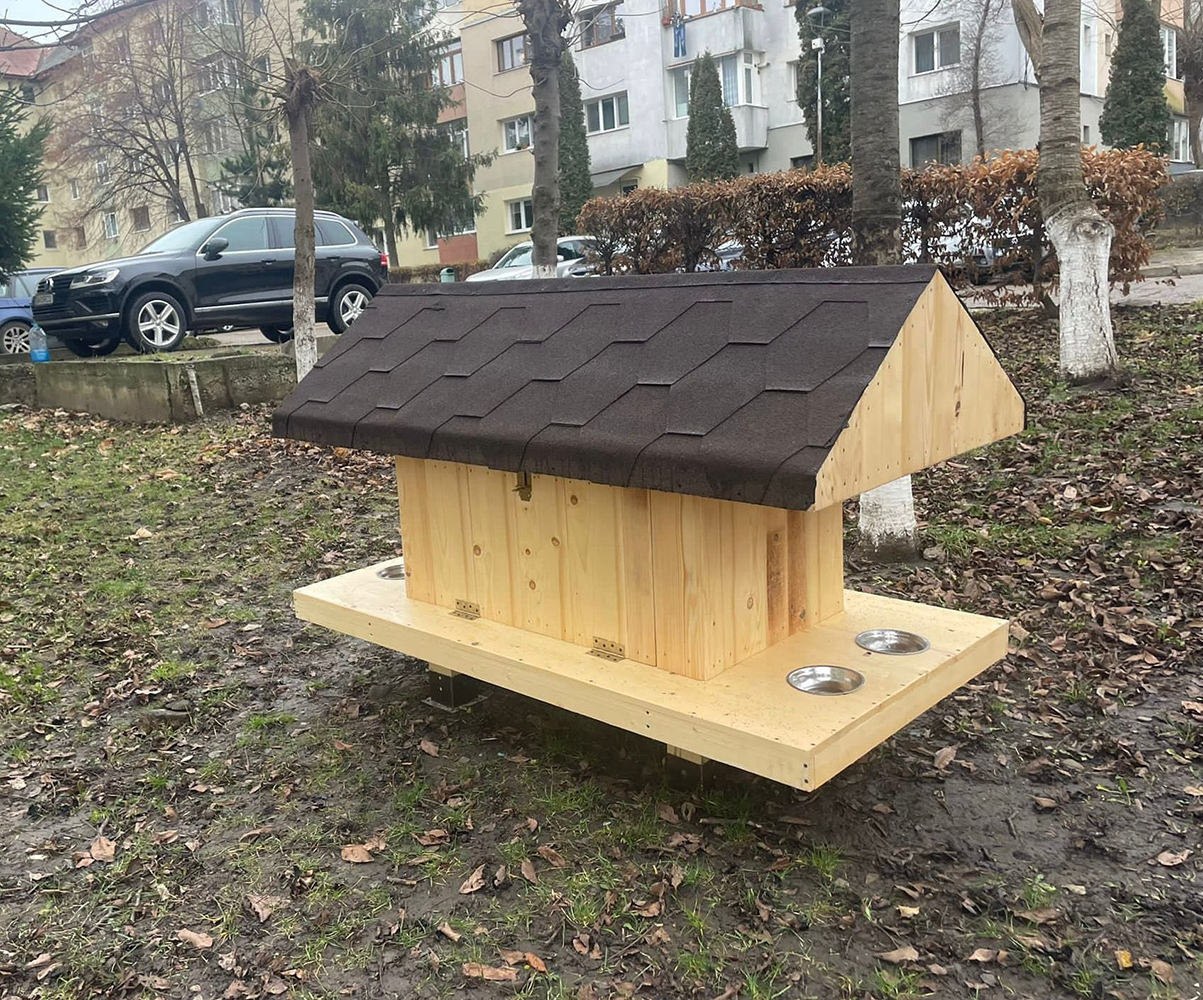 Primăria Municipiului Suceava a montat primele zece căsuțe moderne pentru pisicile fără stăpân din cartiere