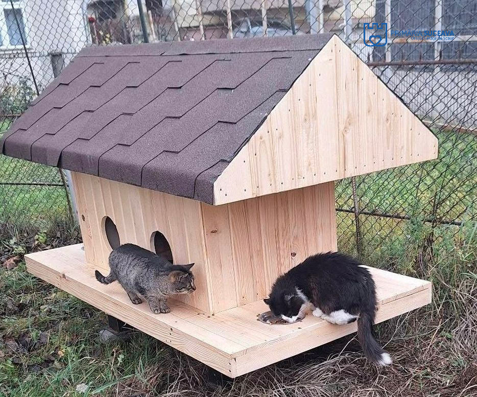 Primele căsuțe pentru pisici instalate de Primăria Municipiului Suceava sunt deja locuite și îngrijite de comunitate