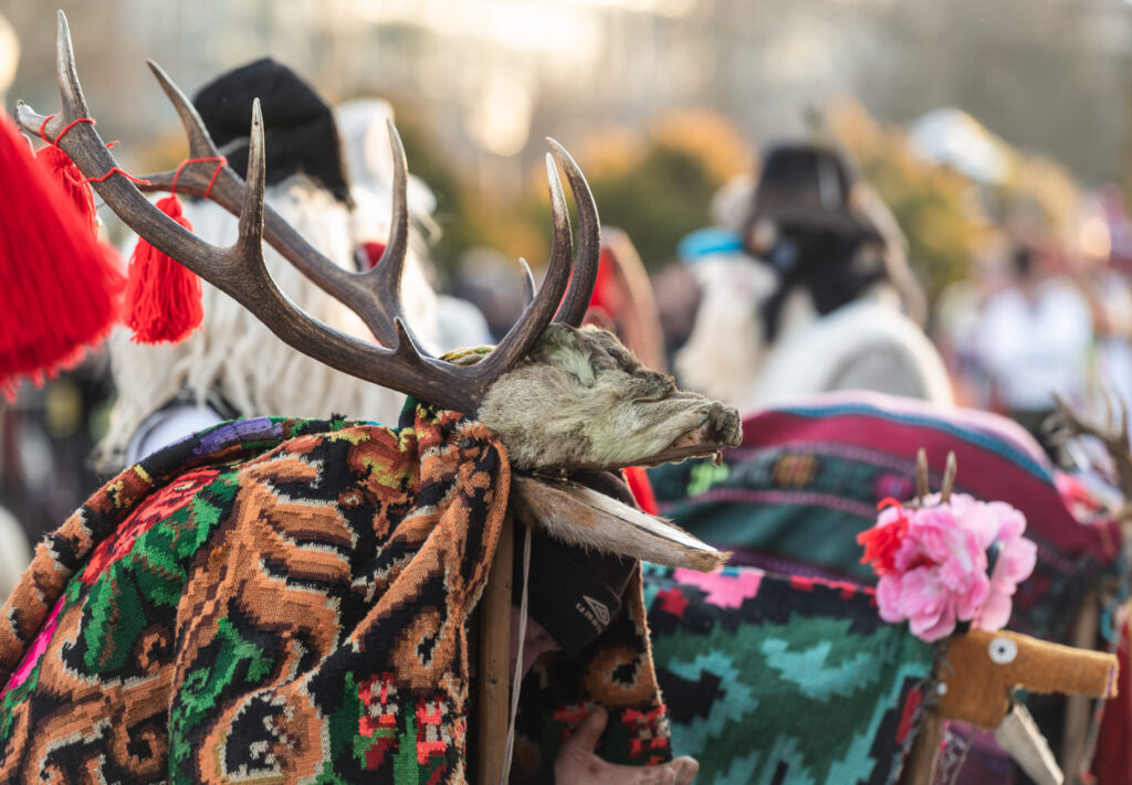 Obiceiuri de iarnă #25