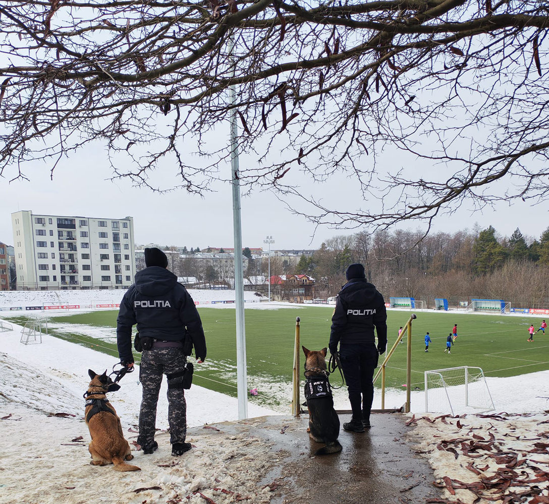 IPJ Suceava a mobilizat efective sporite și unitatea canină pentru prevenirea violenței la trei unități de învățământ