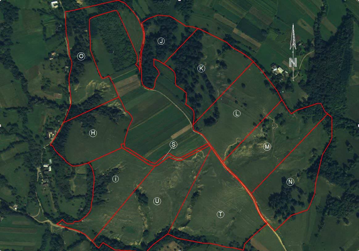 Primăria Comunei Botoșana organizează o licitație publică pentru închirierea a peste 82 de hectare de pășune
