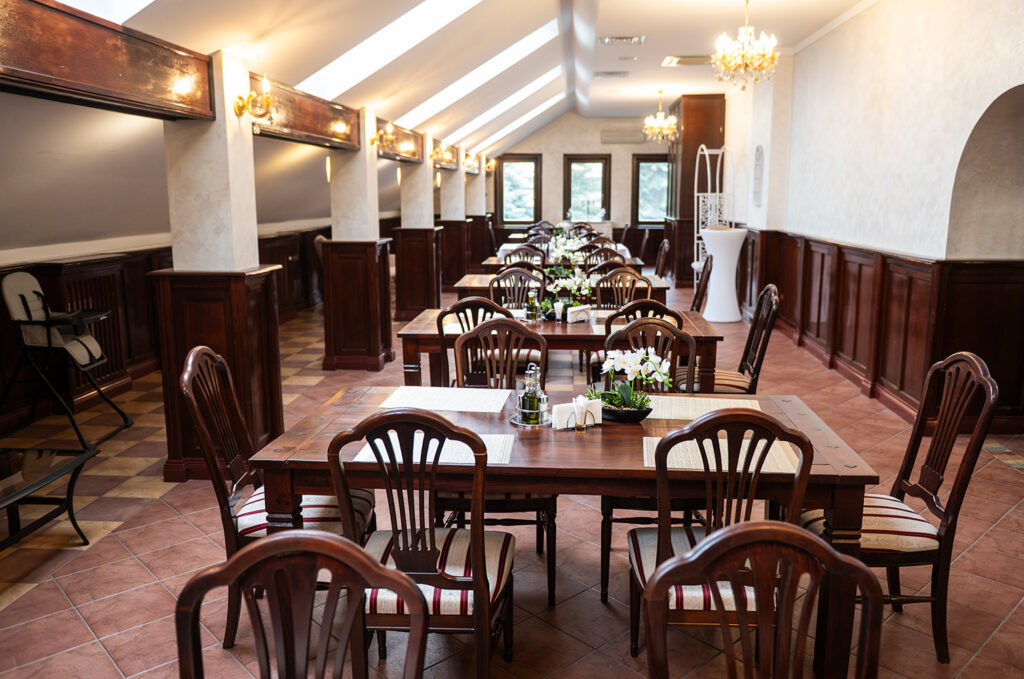 Conacul Domnesc (Șcheia)