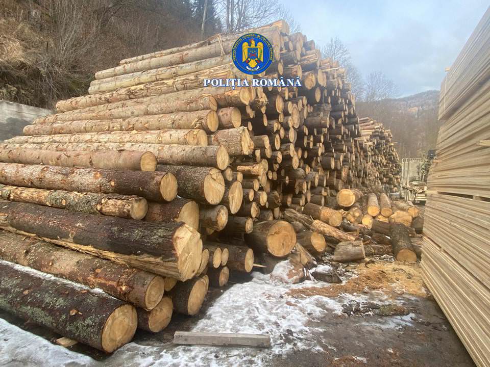 Controale masive ale poliției suceveni în depozitele de material lemnos