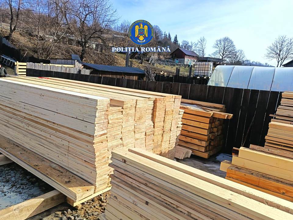 Material lemnos în valoare de aproximativ 25.000 de lei confiscat de polițiști în zona Râșca