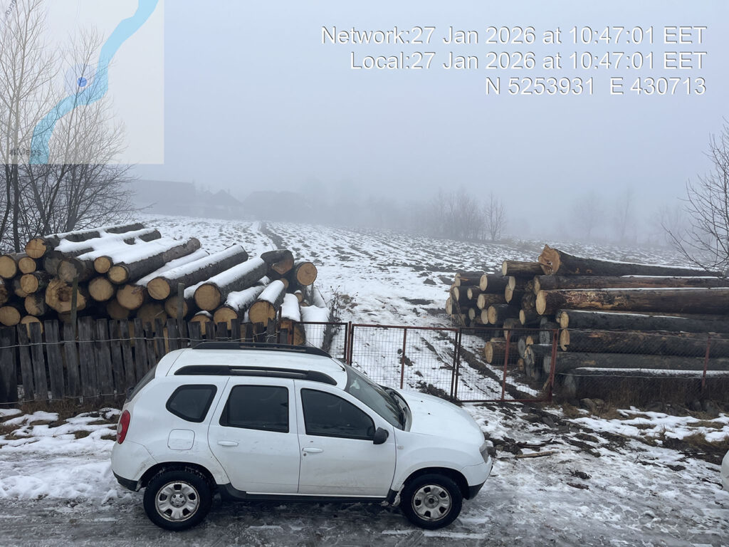 Peste 150 de metri cubi de lemn, în valoare de 80.000 de lei, confiscați de polițiști în comuna Mălini