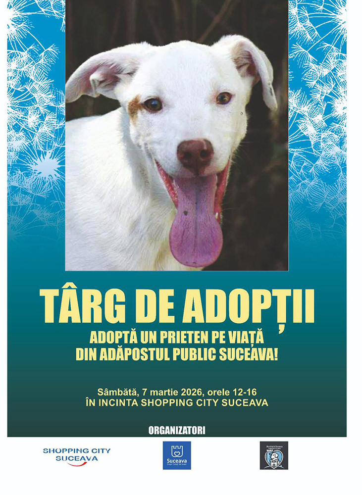 Târg de adopții pentru cățeii fără stăpân