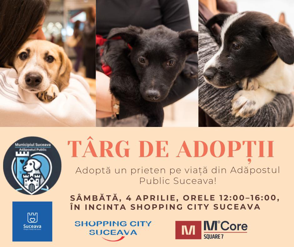 Târg de adopții pentru cățeii fără stăpân
