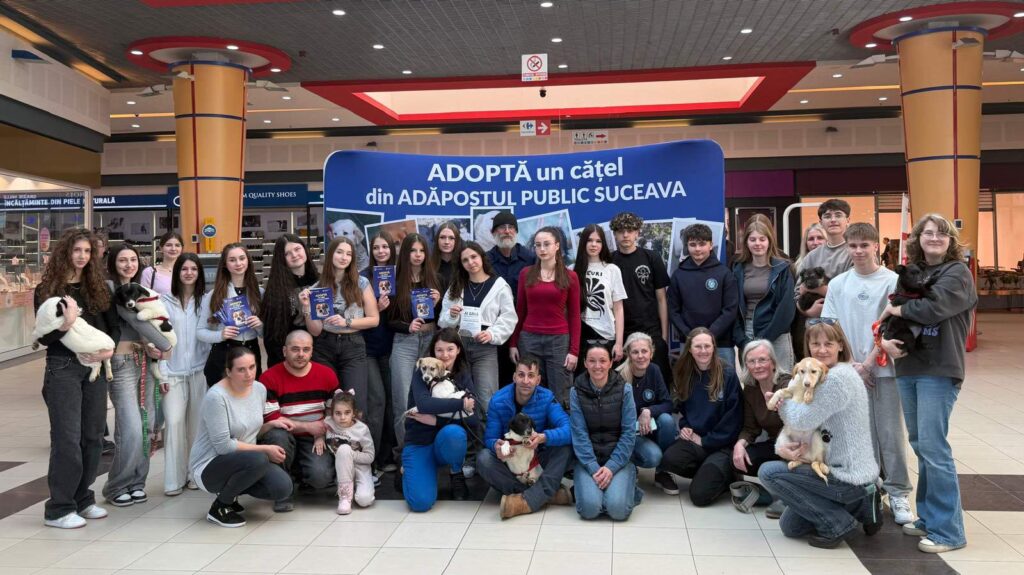 Târgul de adopții pentru cățeii fără stăpân de la Shopping City Suceava, un succes al responsabilității