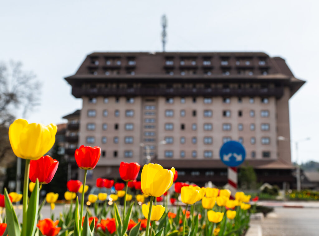 Best Western Bucovina (Gura Humorului)