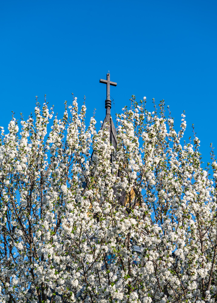 Biserica Nașterea Maicii Domnului (Martirilor In Memoriam) (Suceava)
