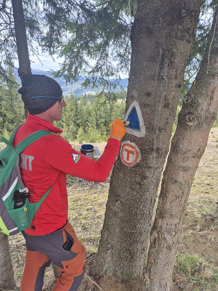 Serviciul Public Salvamont Vatra Dornei continuă refacerea marcajelor turistice pentru siguranța drumeților