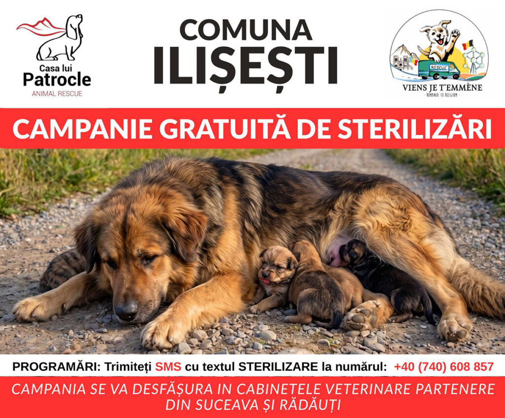 Campanie de sterilizare gratuită pentru câinii cu stăpân din comuna Ilișești