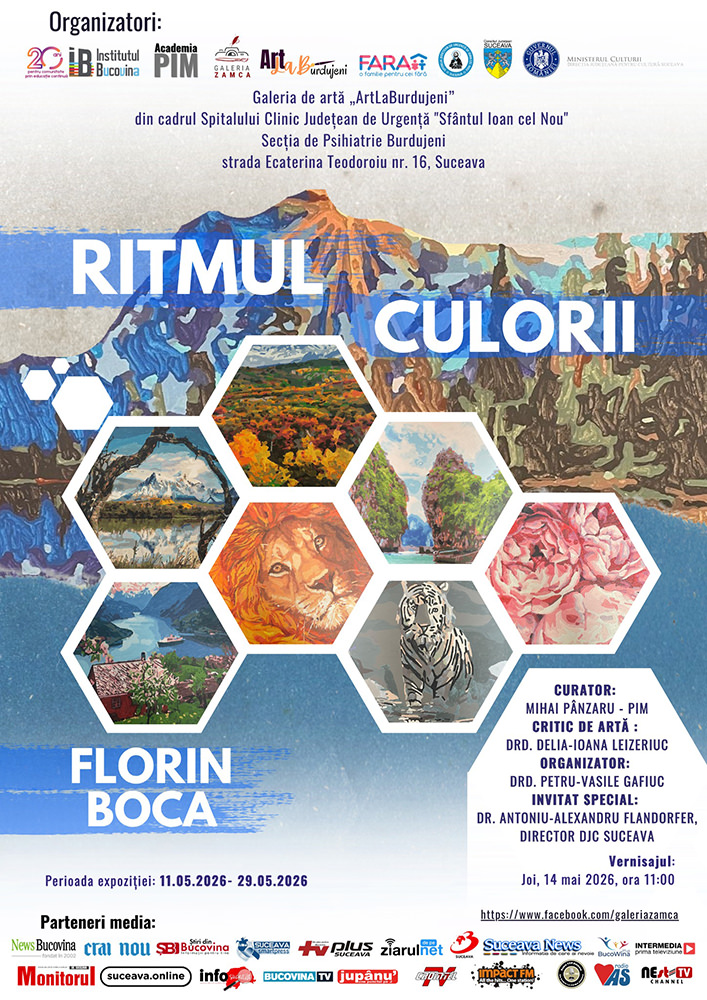 Florin Boca - Ritmul culorii