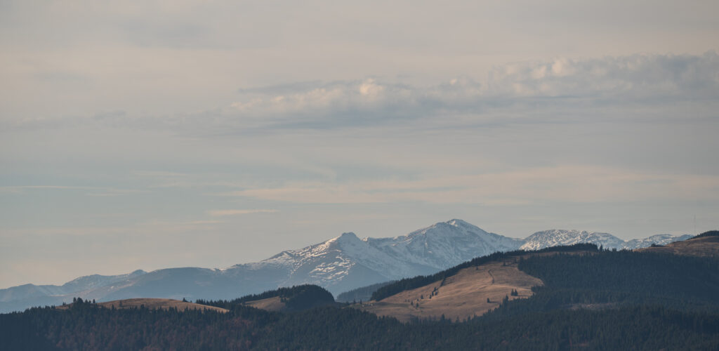 Munți Rodnei