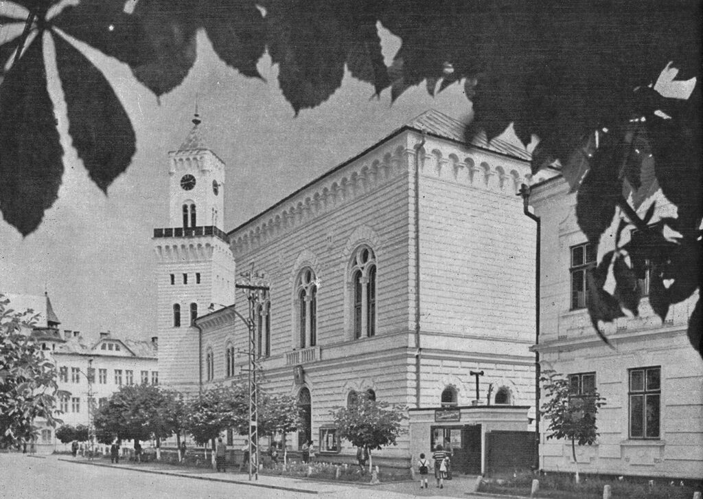 Suceava (de altădată) #8