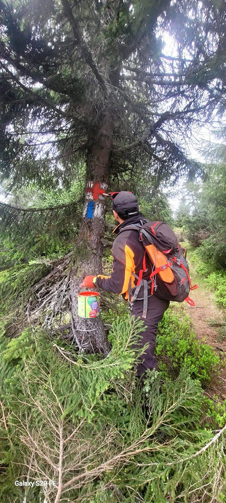 Serviciul Public Județean Salvamont Suceava a reabilitat traseele turistice din munții Călimani și Rarău și recomandă prudență înainte de ieșirile pe munte