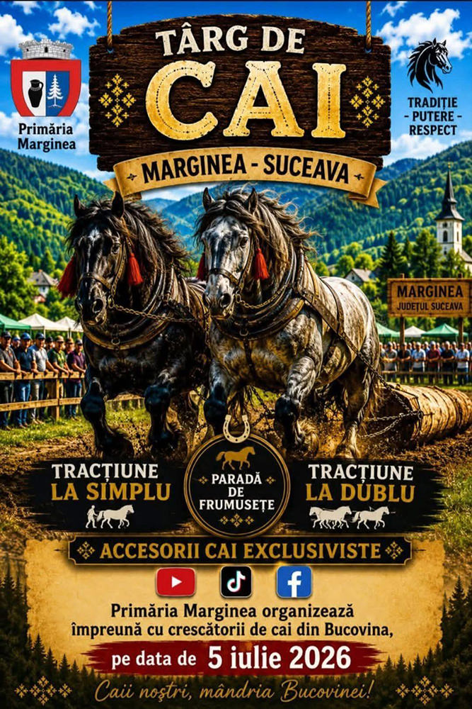 Târg de Cai la Marginea