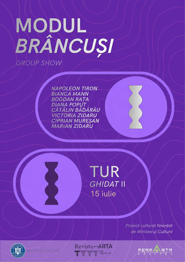 Modul Brâncuși