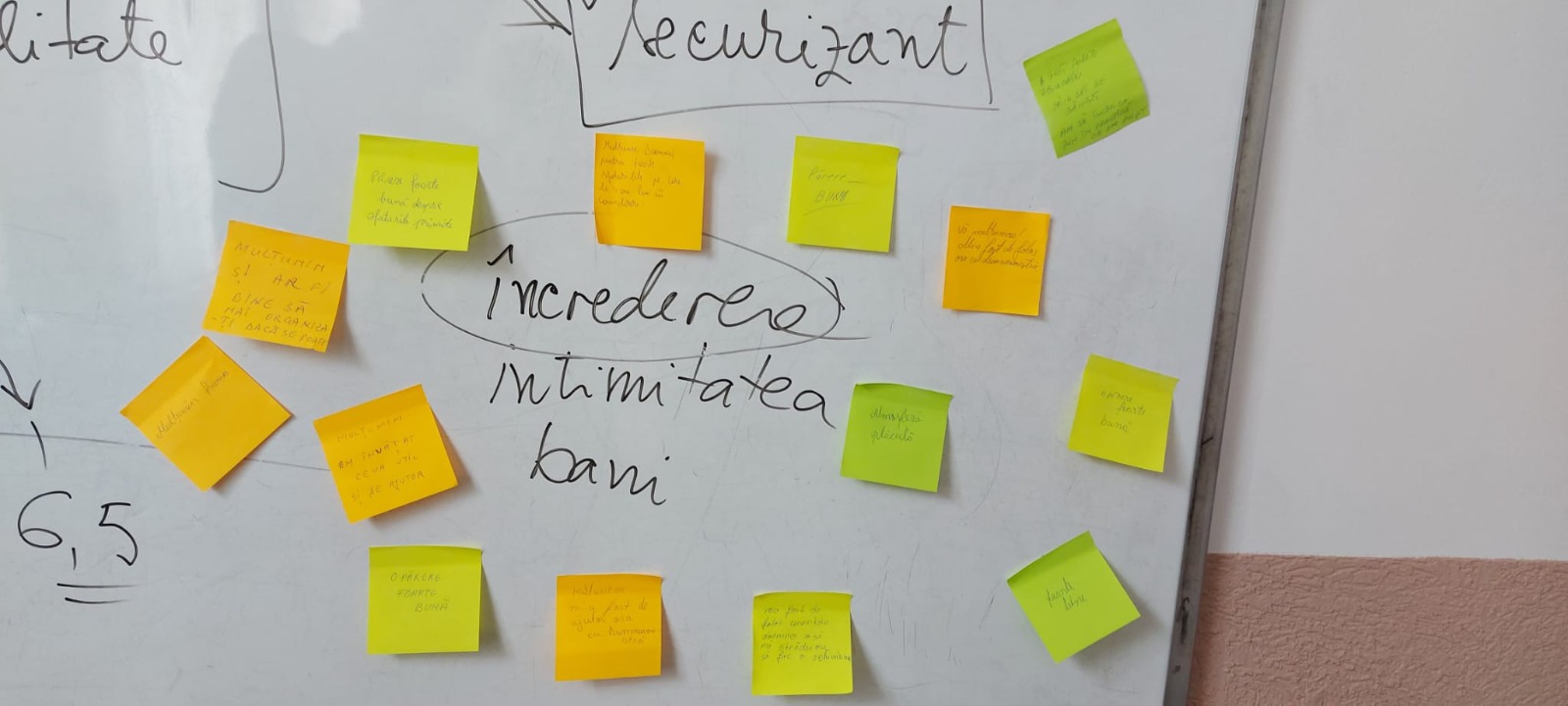 Peste 150 de activități sportive și educaționale pentru copiii din Suceava și Ilfov, prin programul „Învață să fii sănătos”
