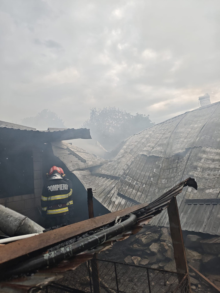 Două locuințe, două anexe și un garaj au fost afectate de un incendiu la Bucșoaia