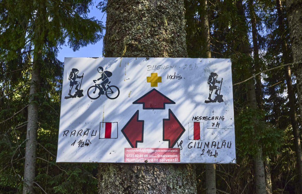 Munții Giumalău #26