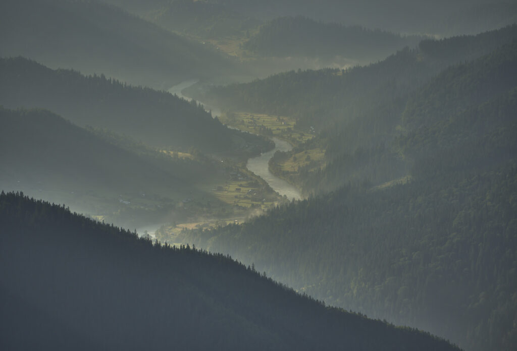 Valea Bistriței