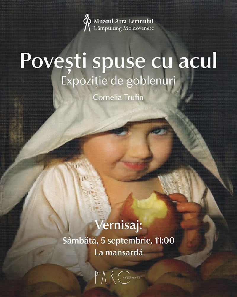 Povești spuse cu acul