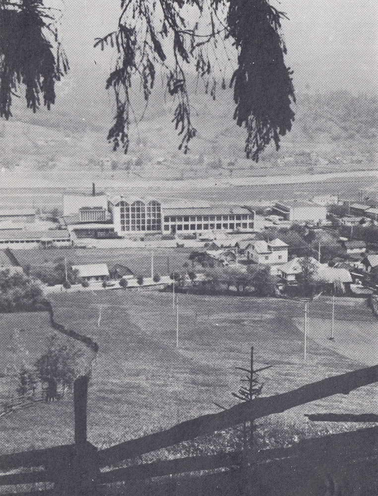 Suceava (de altădată) #30